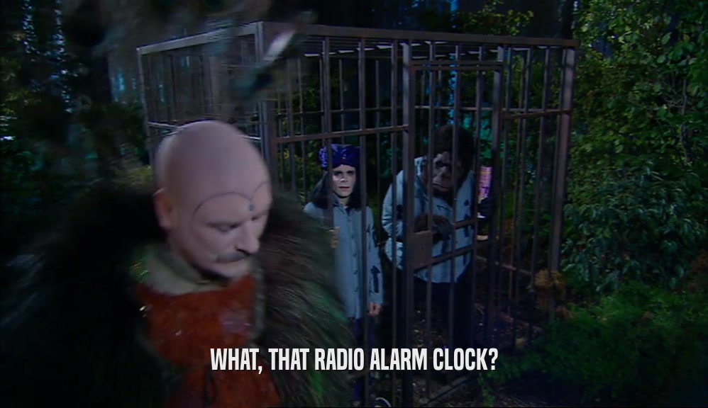 WHAT, THAT RADIO ALARM CLOCK?  