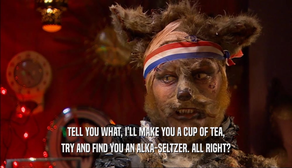 TELL YOU WHAT, I'LL MAKE YOU A CUP OF TEA, TRY AND FIND YOU AN ALKA-SELTZER. ALL RIGHT? 