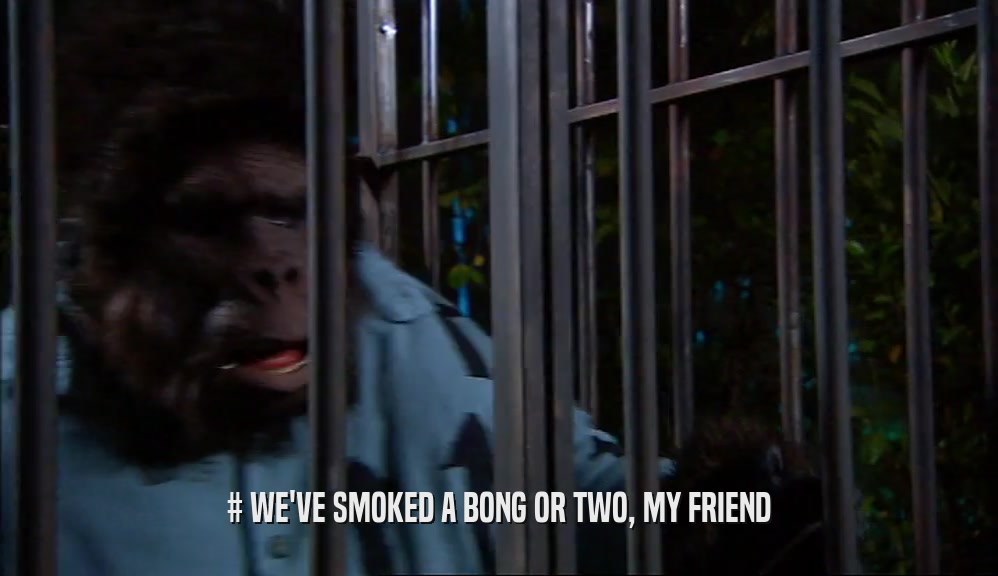 # WE'VE SMOKED A BONG OR TWO, MY FRIEND  