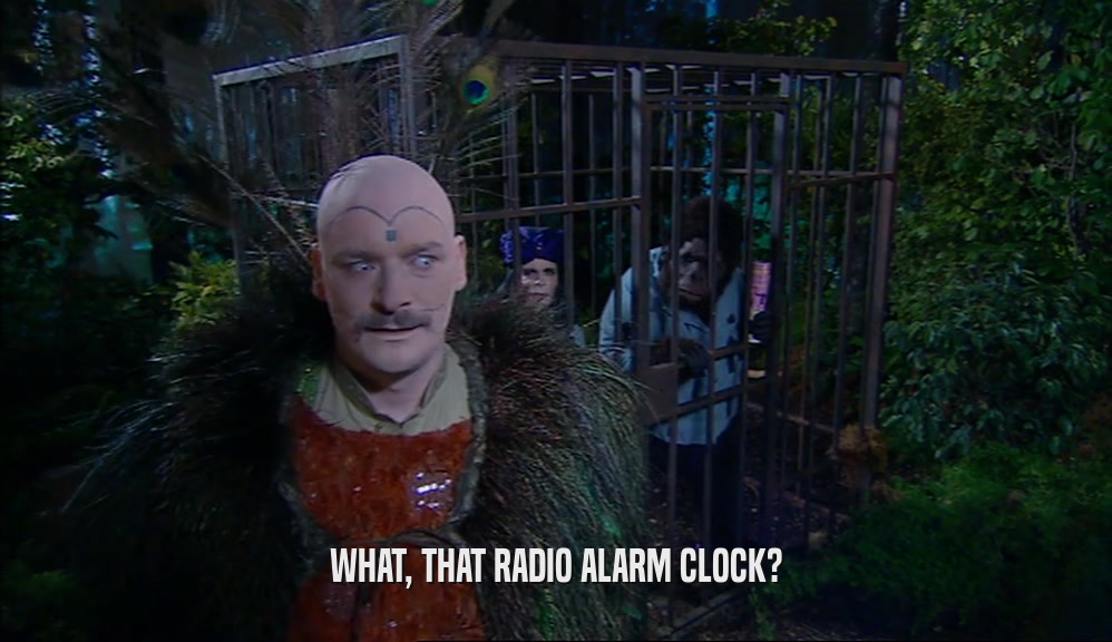 WHAT, THAT RADIO ALARM CLOCK?  