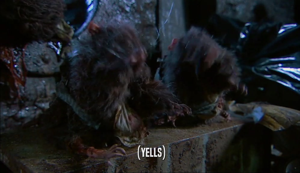 (YELLS)  