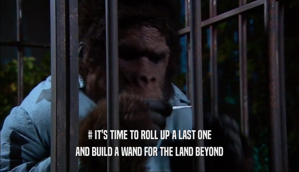 # IT'S TIME TO ROLL UP A LAST ONE AND BUILD A WAND FOR THE LAND BEYOND 