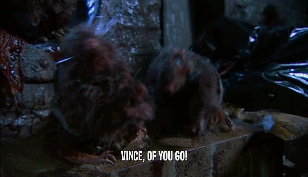 VINCE, OF YOU GO!  