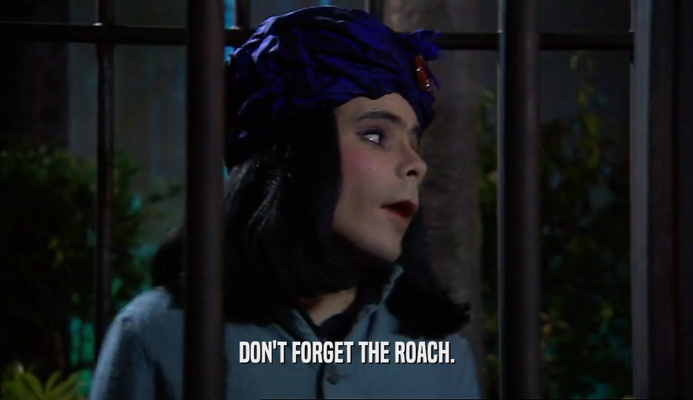 DON'T FORGET THE ROACH.  