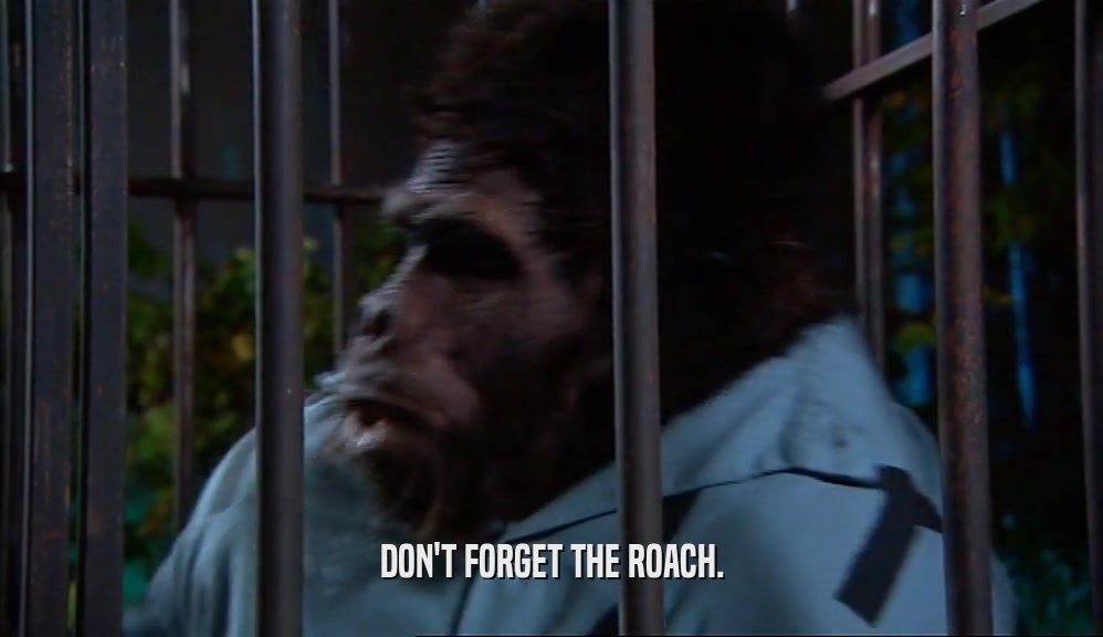 DON'T FORGET THE ROACH.  