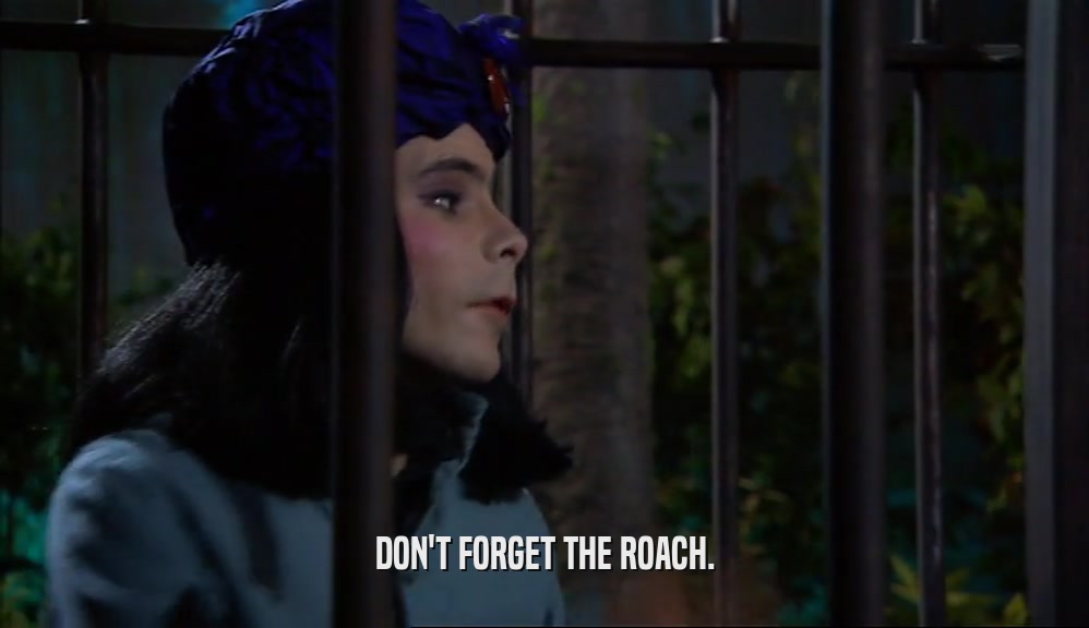 DON'T FORGET THE ROACH.  