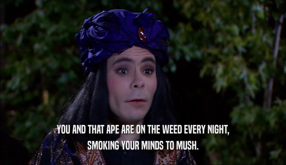 YOU AND THAT APE ARE ON THE WEED EVERY NIGHT, SMOKING YOUR MINDS TO MUSH. 