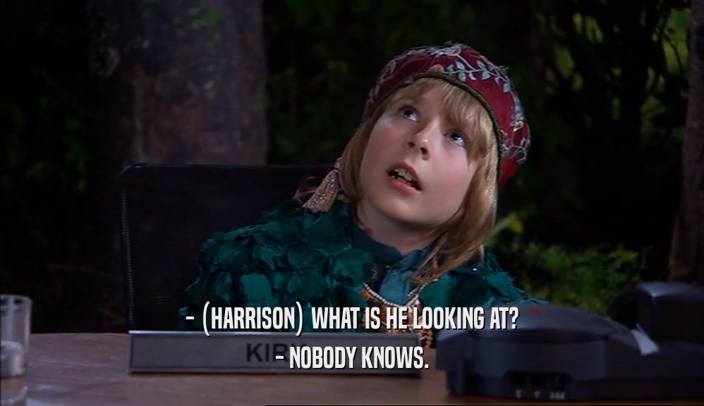 - (HARRISON) WHAT IS HE LOOKING AT? - NOBODY KNOWS. 