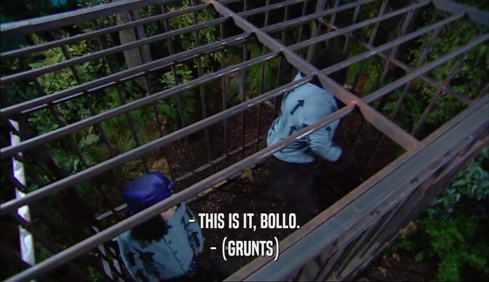 - THIS IS IT, BOLLO. - (GRUNTS) 