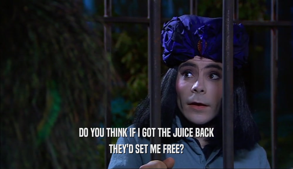 DO YOU THINK IF I GOT THE JUICE BACK THEY'D SET ME FREE? 