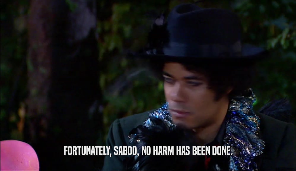 FORTUNATELY, SABOO, NO HARM HAS BEEN DONE.  