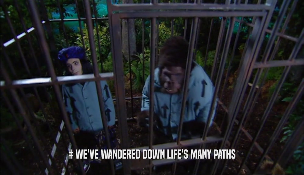# WE'VE WANDERED DOWN LIFE'S MANY PATHS  