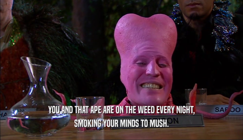 YOU AND THAT APE ARE ON THE WEED EVERY NIGHT, SMOKING YOUR MINDS TO MUSH. 