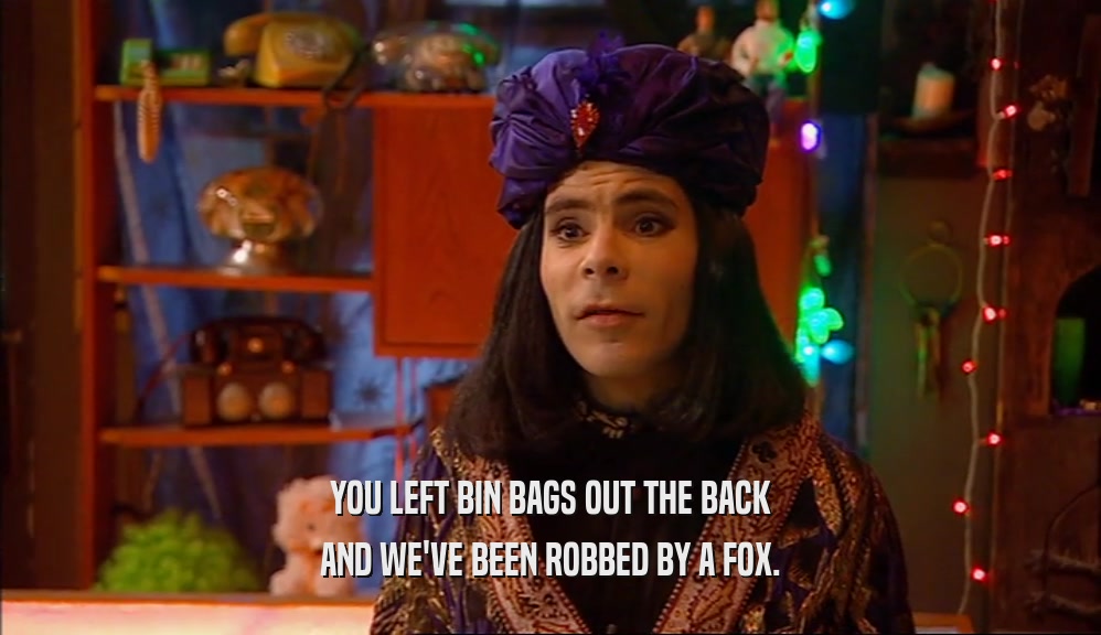 YOU LEFT BIN BAGS OUT THE BACK AND WE'VE BEEN ROBBED BY A FOX. 