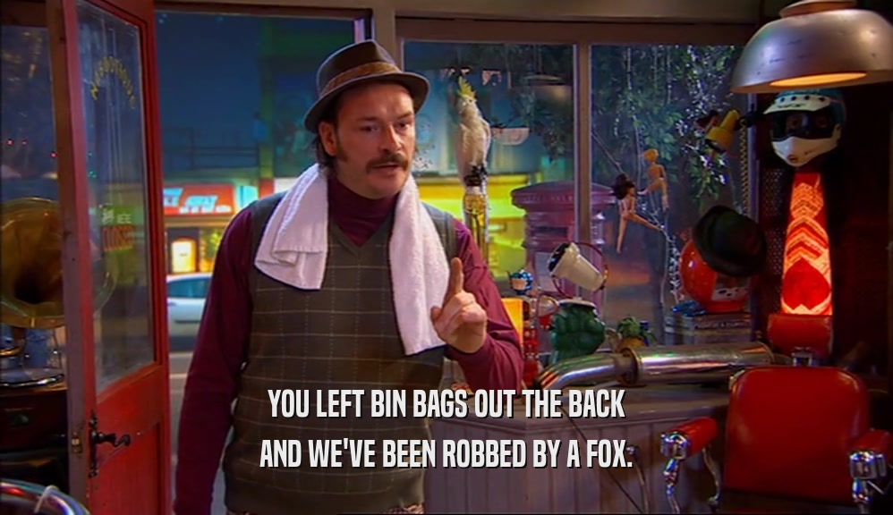 YOU LEFT BIN BAGS OUT THE BACK AND WE'VE BEEN ROBBED BY A FOX. 