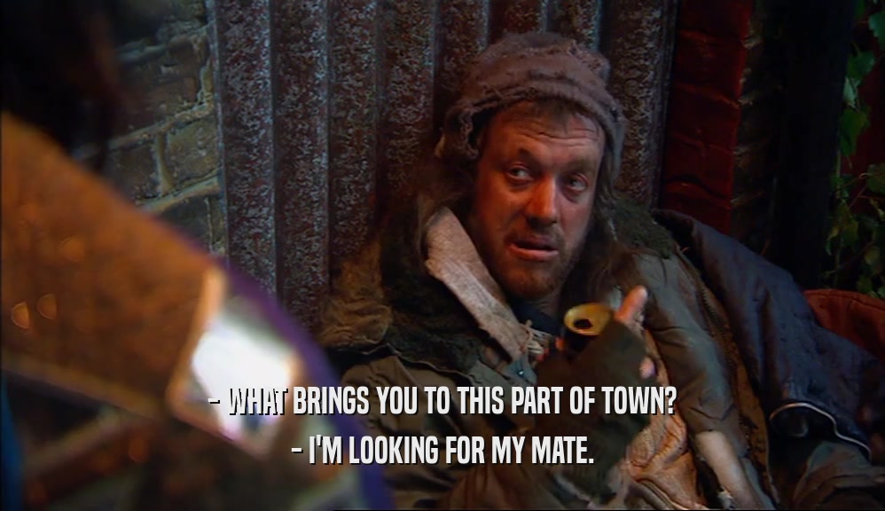 - WHAT BRINGS YOU TO THIS PART OF TOWN? - I'M LOOKING FOR MY MATE. 