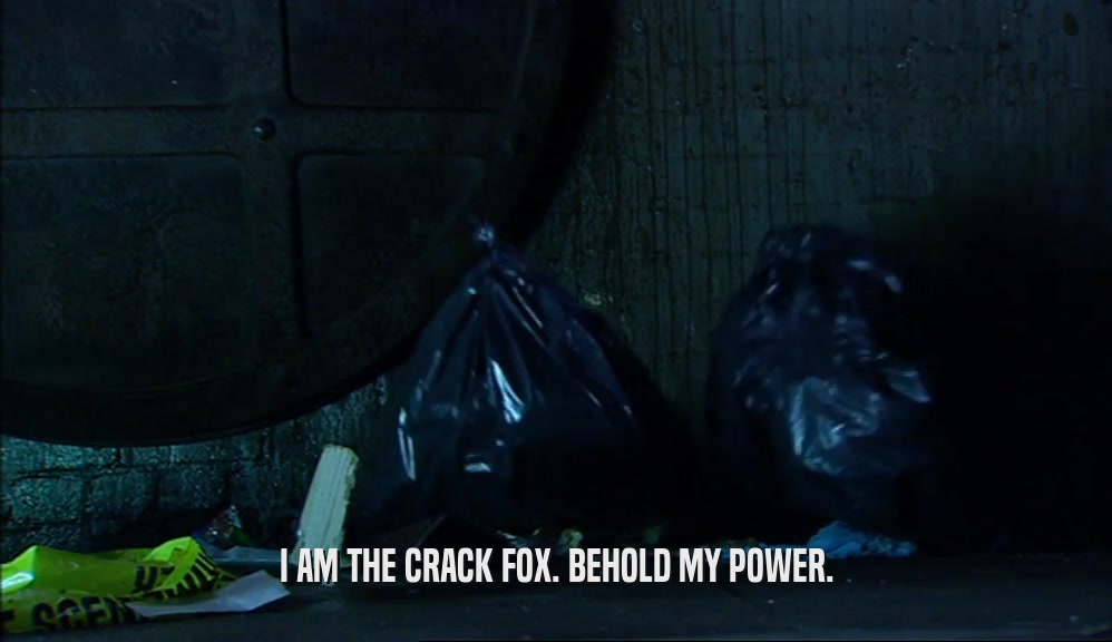 I AM THE CRACK FOX. BEHOLD MY POWER.  