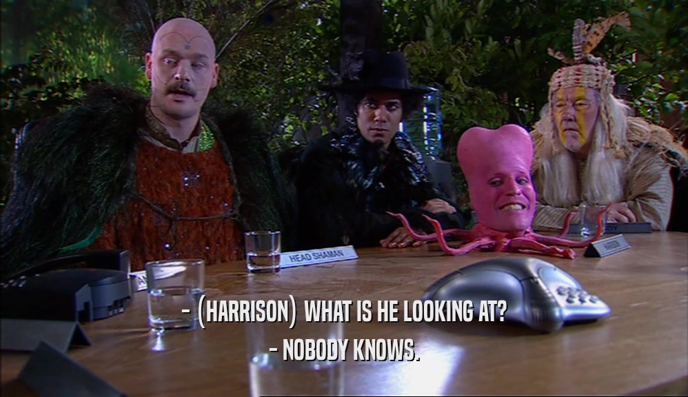 - (HARRISON) WHAT IS HE LOOKING AT? - NOBODY KNOWS. 