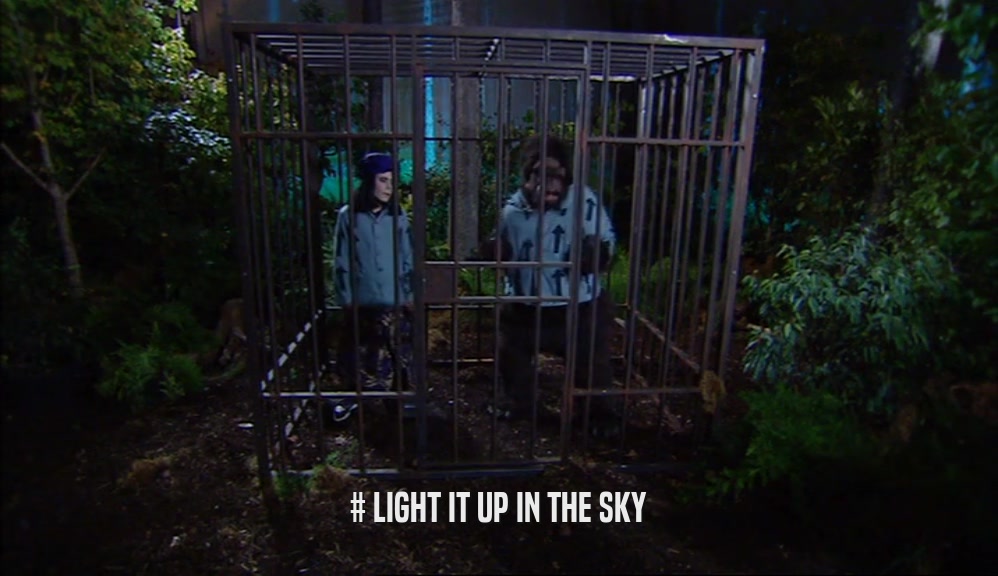 # LIGHT IT UP IN THE SKY  