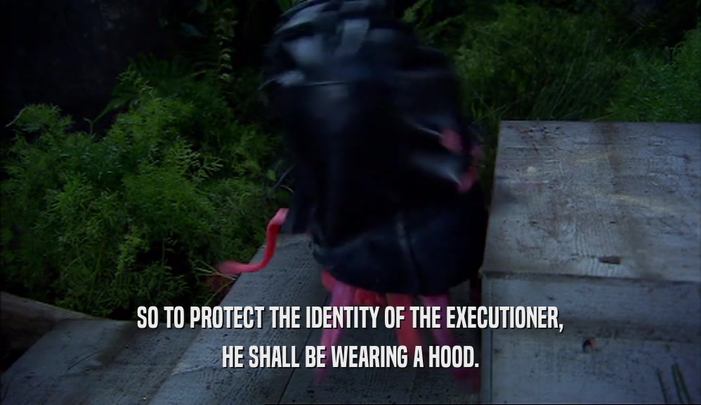 SO TO PROTECT THE IDENTITY OF THE EXECUTIONER, HE SHALL BE WEARING A HOOD. 