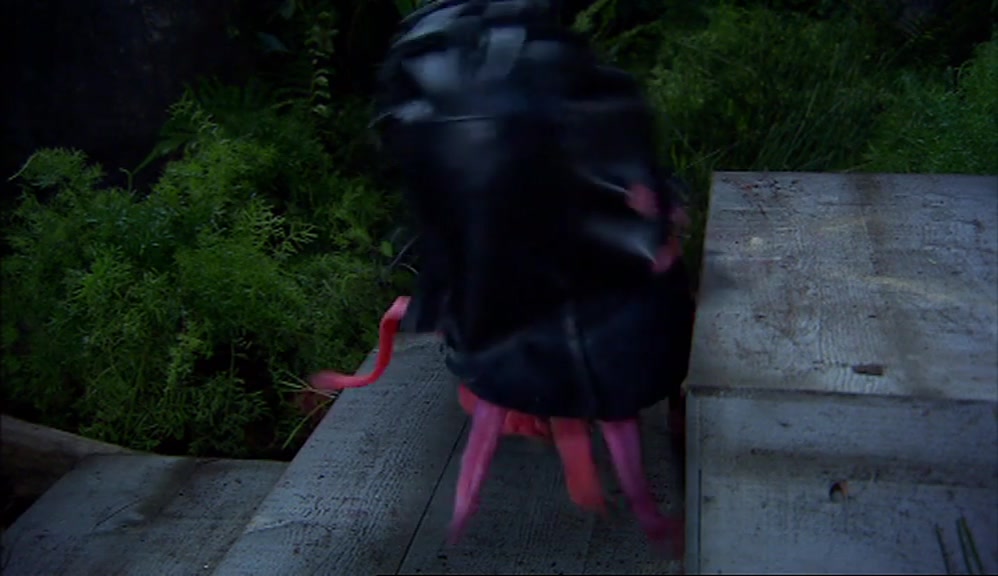 SO TO PROTECT THE IDENTITY OF THE EXECUTIONER, HE SHALL BE WEARING A HOOD. 
