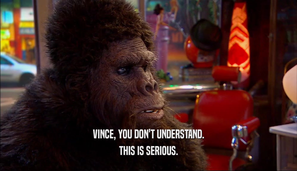 VINCE, YOU DON'T UNDERSTAND. THIS IS SERIOUS. 