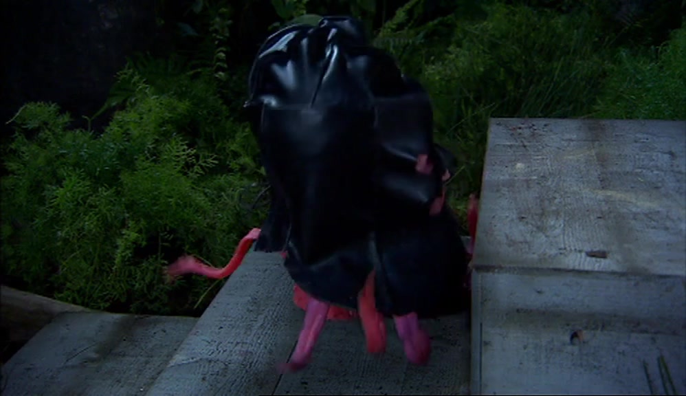 SO TO PROTECT THE IDENTITY OF THE EXECUTIONER, HE SHALL BE WEARING A HOOD. 