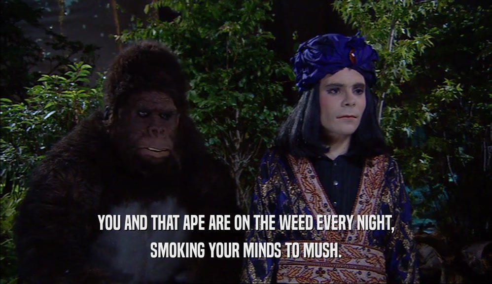 YOU AND THAT APE ARE ON THE WEED EVERY NIGHT, SMOKING YOUR MINDS TO MUSH. 
