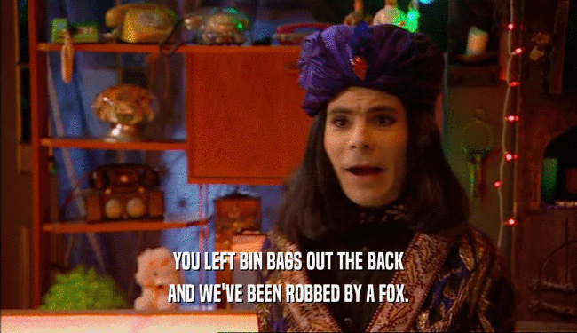 YOU LEFT BIN BAGS OUT THE BACK AND WE'VE BEEN ROBBED BY A FOX. 