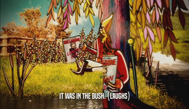 IT WAS IN THE BUSH. (LAUGHS)
  