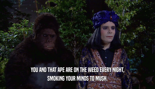 YOU AND THAT APE ARE ON THE WEED EVERY NIGHT,
 SMOKING YOUR MINDS TO MUSH.
 