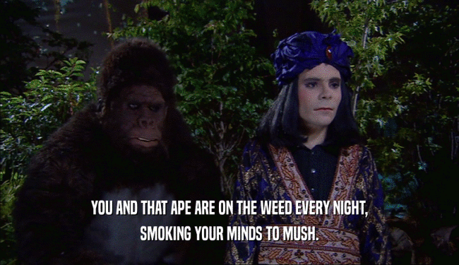 YOU AND THAT APE ARE ON THE WEED EVERY NIGHT, SMOKING YOUR MINDS TO MUSH. 