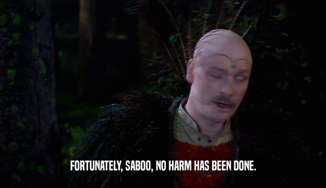 FORTUNATELY, SABOO, NO HARM HAS BEEN DONE.  