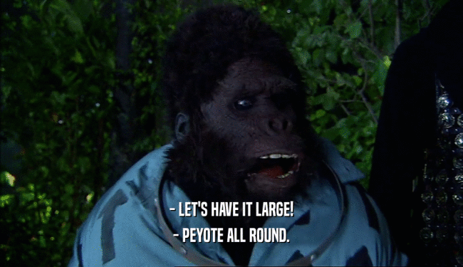 - LET'S HAVE IT LARGE! - PEYOTE ALL ROUND. 