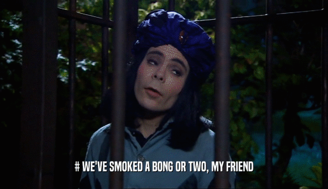 # WE'VE SMOKED A BONG OR TWO, MY FRIEND  