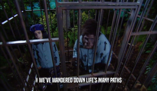 # WE'VE WANDERED DOWN LIFE'S MANY PATHS  