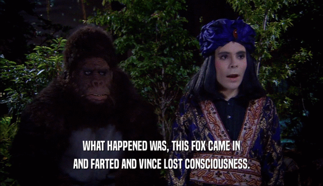 WHAT HAPPENED WAS, THIS FOX CAME IN AND FARTED AND VINCE LOST CONSCIOUSNESS. 