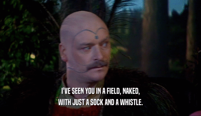 I'VE SEEN YOU IN A FIELD, NAKED,
 WITH JUST A SOCK AND A WHISTLE.
 