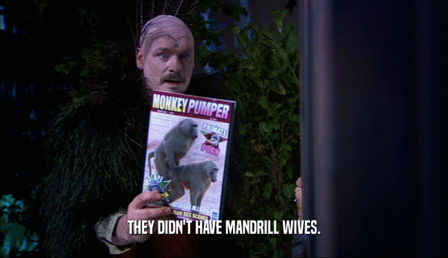 THEY DIDN'T HAVE MANDRILL WIVES.
  