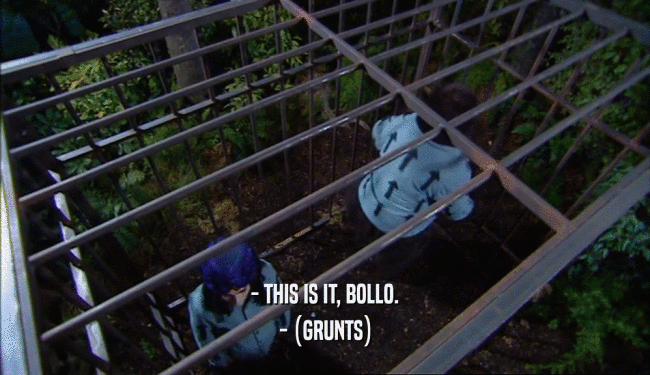 - THIS IS IT, BOLLO. - (GRUNTS) 