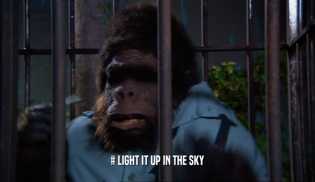 # LIGHT IT UP IN THE SKY  