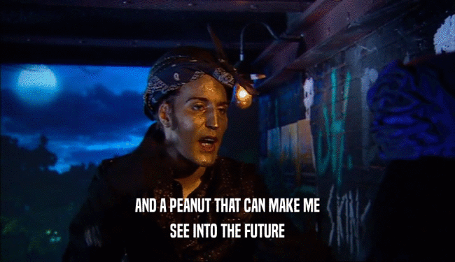 AND A PEANUT THAT CAN MAKE ME SEE INTO THE FUTURE 