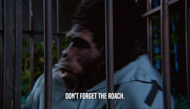DON'T FORGET THE ROACH.  