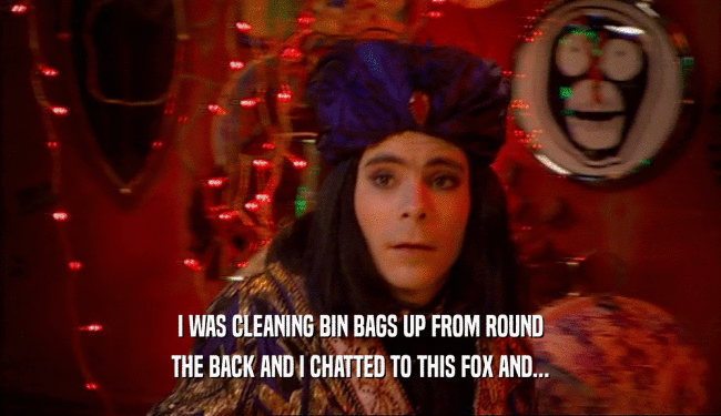I WAS CLEANING BIN BAGS UP FROM ROUND THE BACK AND I CHATTED TO THIS FOX AND... 