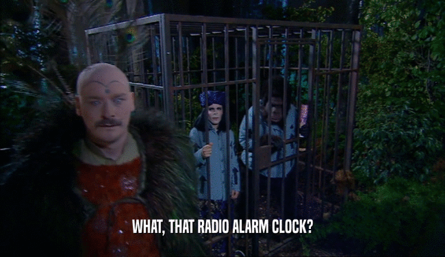 WHAT, THAT RADIO ALARM CLOCK?
  