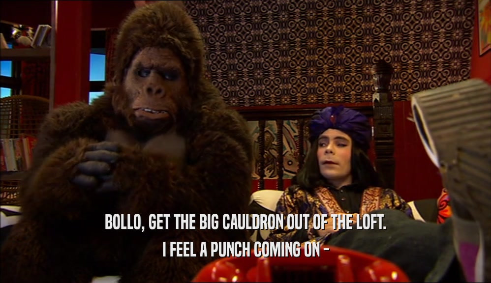 BOLLO, GET THE BIG CAULDRON OUT OF THE LOFT. I FEEL A PUNCH COMING ON - 