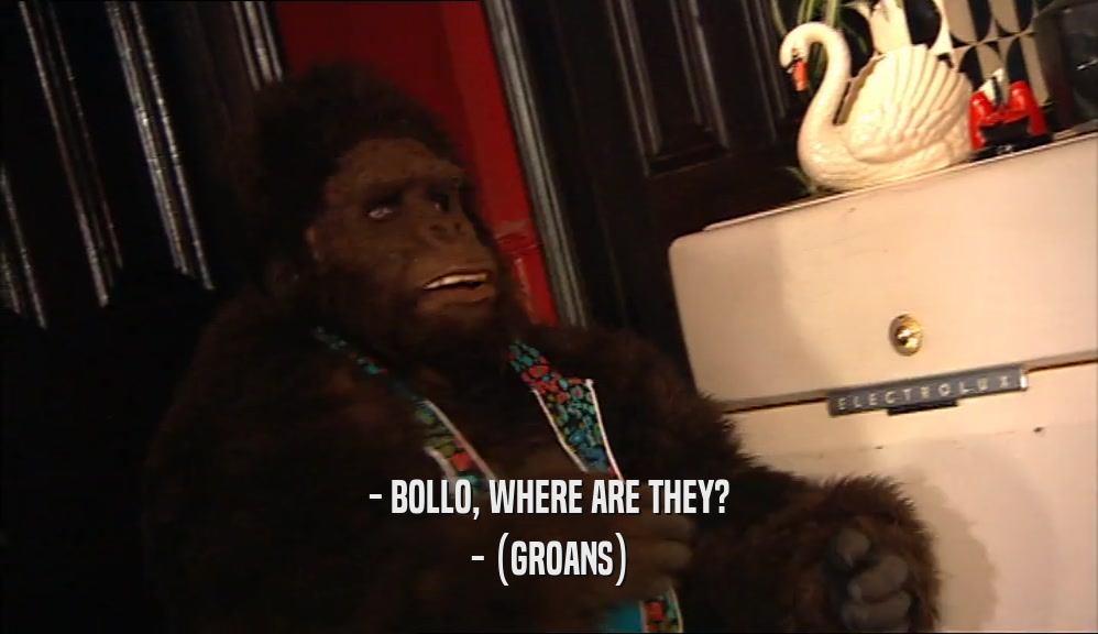 - BOLLO, WHERE ARE THEY?
 - (GROANS)
 