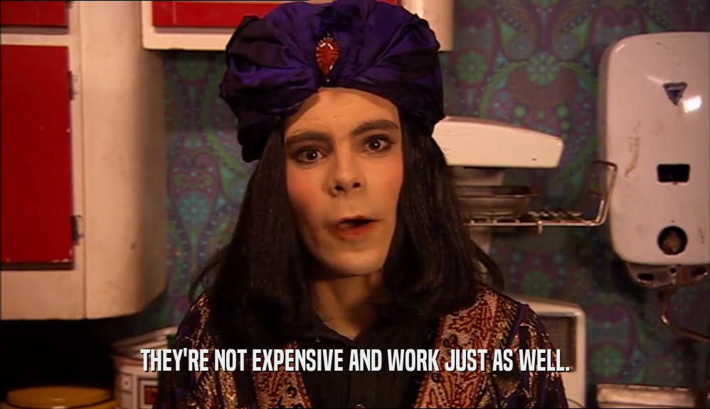THEY'RE NOT EXPENSIVE AND WORK JUST AS WELL.  