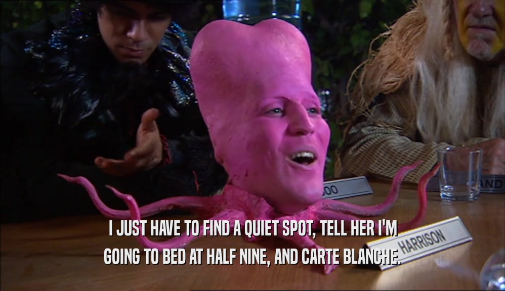 I JUST HAVE TO FIND A QUIET SPOT, TELL HER I'M GOING TO BED AT HALF NINE, AND CARTE BLANCHE. 