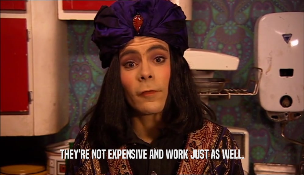 THEY'RE NOT EXPENSIVE AND WORK JUST AS WELL.  